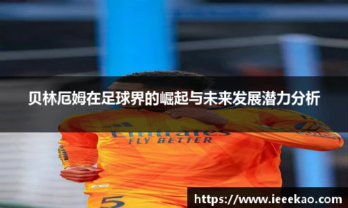 德信体育官方网站首页